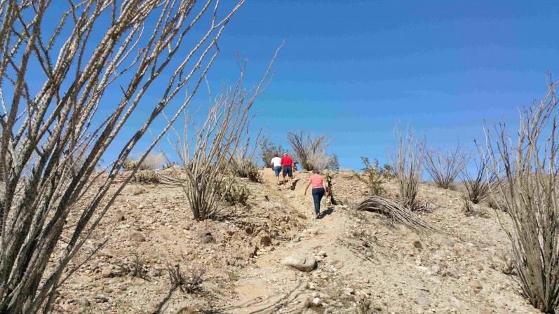 hiking in Desert