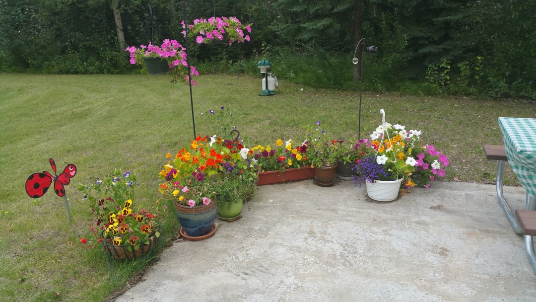Porch.flowers
