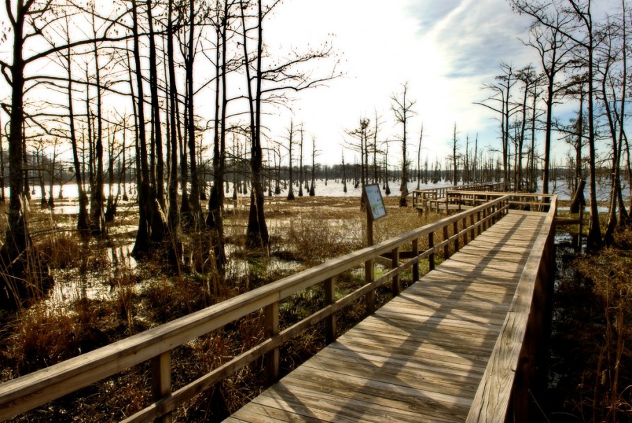 Boardwalk