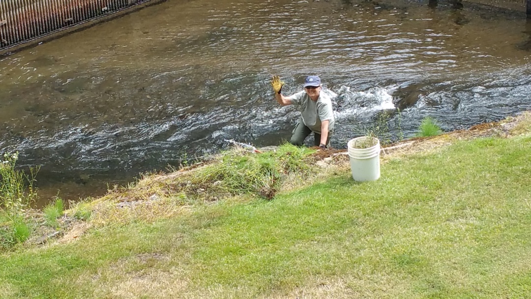 Connie-Weeding.on.River