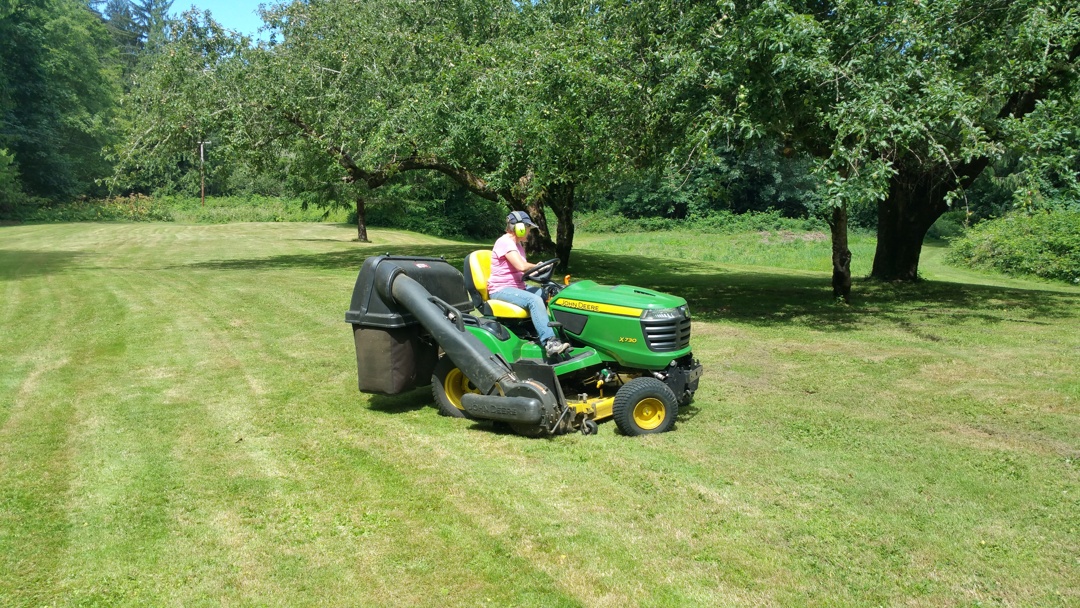 mowing-connie1