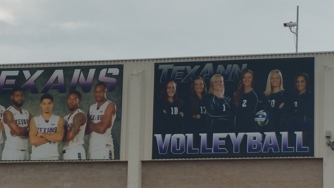 tarleton-vb